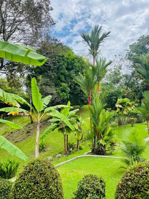 Suenos De Amor! Hermoso Y Acogedor Lugar Quepos Ngoại thất bức ảnh