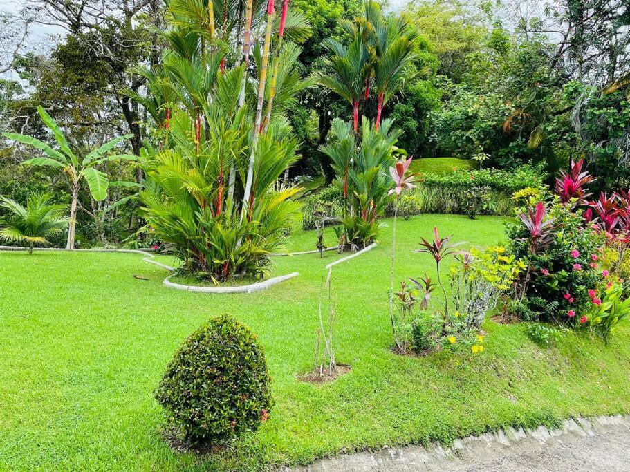 Suenos De Amor! Hermoso Y Acogedor Lugar Quepos Ngoại thất bức ảnh
